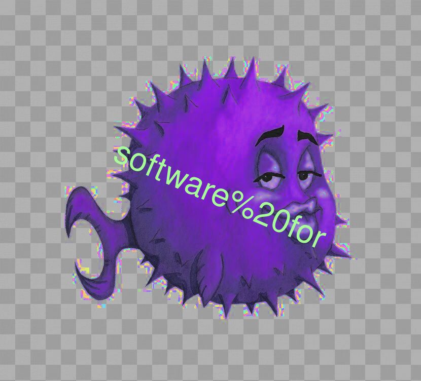 software for